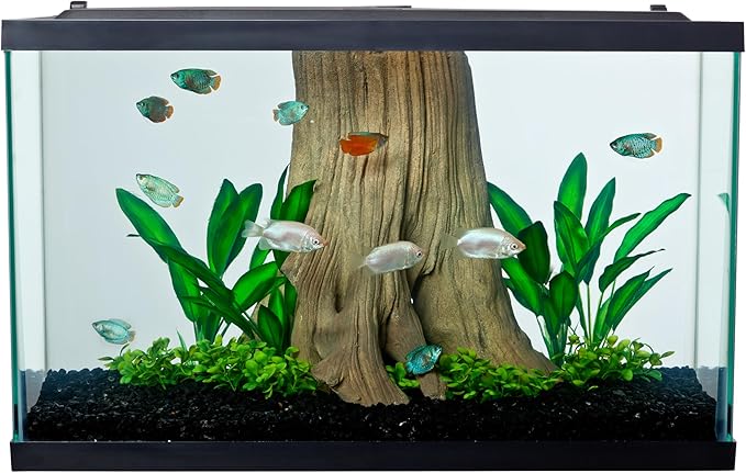 Tetra Glass Aquarium 29 Gallons, Rectangular Fish Tank, Assorted Color