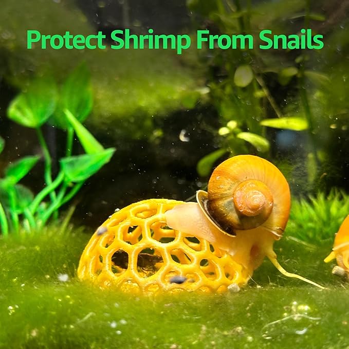 Shrimp Dome Hide - Aquarium Cherry Shrimp Hide - CTWPets Cherry Shimpe Hide (White)