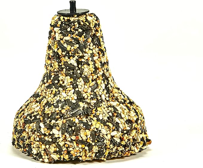 Kaytee Wild Bird Songbird Seed Treat Bell (Pack of 2)