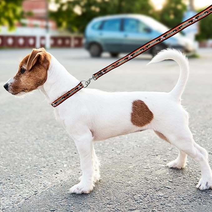 NFL PET Leash, Small, Arizona Cardinals Dog Leash, Football Team Leash for Dogs & Cats. A Shiny & Colorful Dog & Cat Leash with Embroidered Team Name/Logo Licensed by the NFL