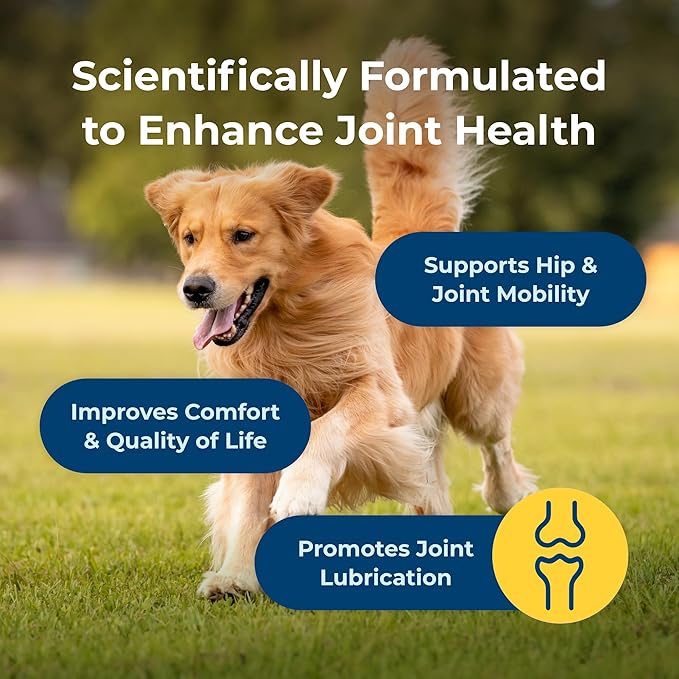 PetAg Dyne Soft Chews, Joint Health & Mobility - Vet-Formulated for Aging & Active Dogs - with UC-II® Collagen - Up to 4X More Effective Than Glucosamine/Chondroitin - 45 Chicken Liver Flavor Chews