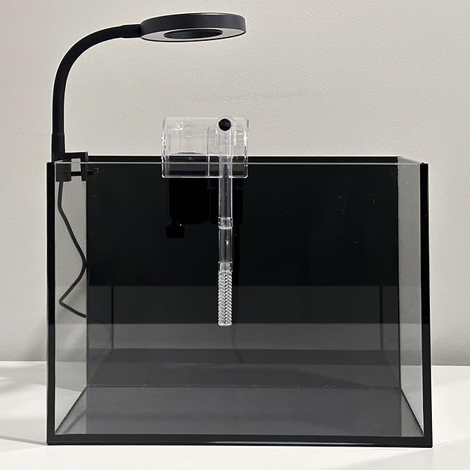 Nano Aquarium Kit 2.2 Gallon, Rimless Glass Betta Fish Tank with Filter & LED Light, 12" x 6" x 8" Small Desktop Fish Tank for Home Office