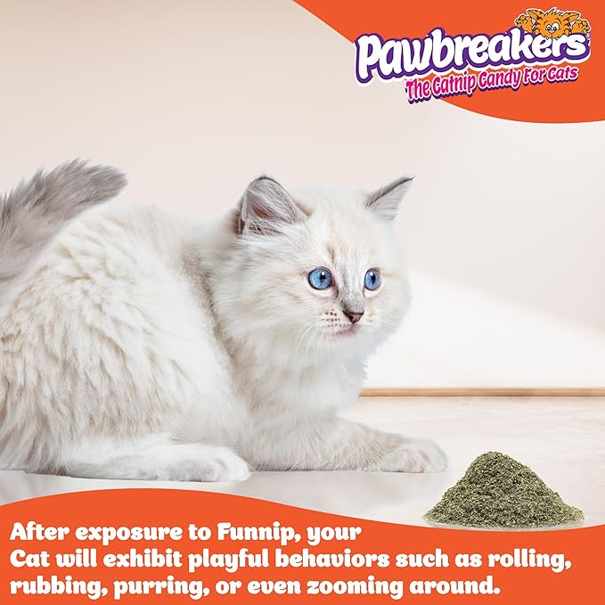 Pawbreakers® Funnip™ – Premium Catnip Treats for Cats & Kittens | Catnip Cat Treats, Fill These Catnips in Toys for Cat, Cats Snacks| No-Stick Fine Grind Catnips - Made in USA