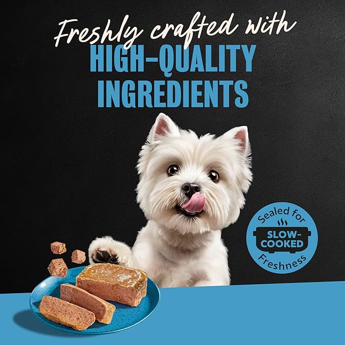 Cesar Classic Loaf in Sauce Adult Wet Dog Food Lamb Recipe, 3.5 oz. Easy Peel Trays, 24 Count (Pack of 1)