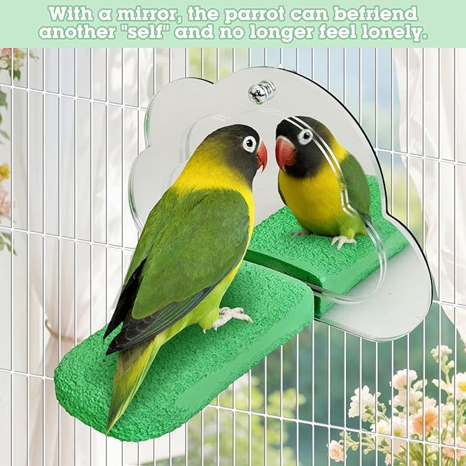 PINVNBY 2 PCS Bird Mirror with Perch Resin Parakeet Perches Hanging Parrot Toys Interactive Bird Cage Accessories for Cockatiel Conure Lovebird Finch (Green)