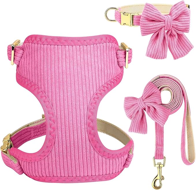 Didog Cute Small Dog Harness Collar and Leash Set with Bowtie, Breathable Soft Mesh Padded Puppy Harness, Dog Harness for Small Dogs Daily Walks Parties, Holiday Gatherings & Gifts, Hot Pink, M