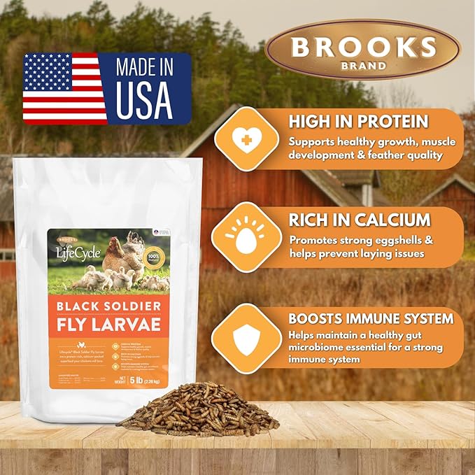 Black Soldier Fly Larvae Chicken Treats, Mealworms Alternative, Grubs for Chickens, High Calcium for Laying Hens, Made in USA, 1.75 lbs