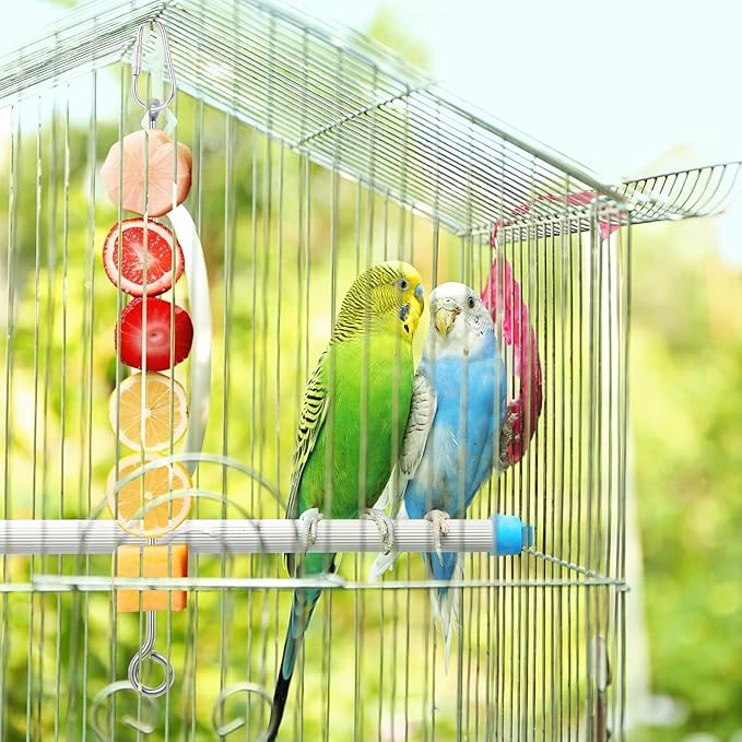 3Pcs Bird Food Holder, Stainless Steel Small Animal Bird Food Treats Skewer Hanging Vegetable Fruit Feeder Feed Treating Tool Suitable Parrots Cockatoo Cockatiel (Silver)