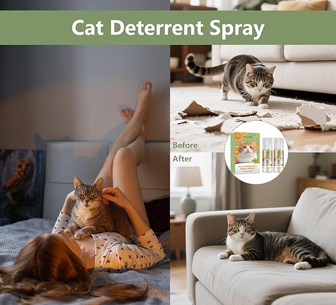 Cat Deterrent Spray - Safe Indoor Formula to Stop Scratching & Urine Marking | Eco-Friendly, Pet-Safe Protection for Furniture, Sofas, Rugs & Curtains | Non-Toxic Training Aid（2 Pack）