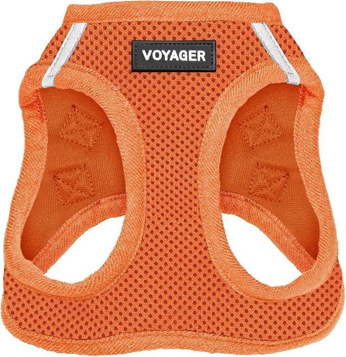 Best Pet Supplies Voyager Step-in Air Harness - All Weather Mesh, Reflective, No Pull Harness for Dogs, Cats - Secure with Hook & Loop Fastener, Buckle, Double D-Rings - Orange, XXS