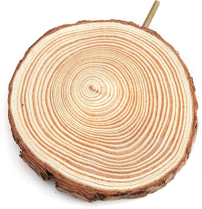 Round Wooden Springboard, Parrot Perches Stand Toy Bird Parrot Perch Bird Cage Accessories for Small Parakeets Cockatiels Hamster(10cm)