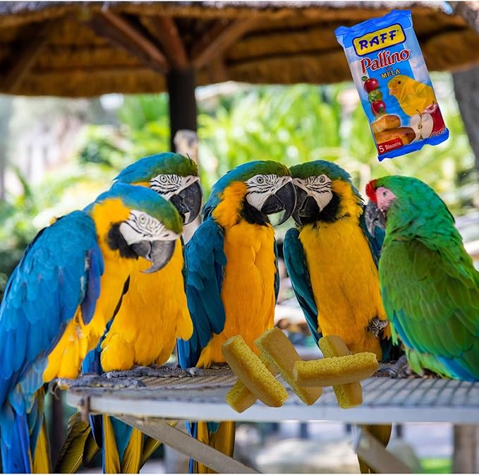 Pallino Mela Biscuits for Birds – 2 Pack Healthy Bird Food, Snack Sticks for Canaries, Finches, Parakeets, Cockatiels & Parrots – Apple Flavored for Canary Treats