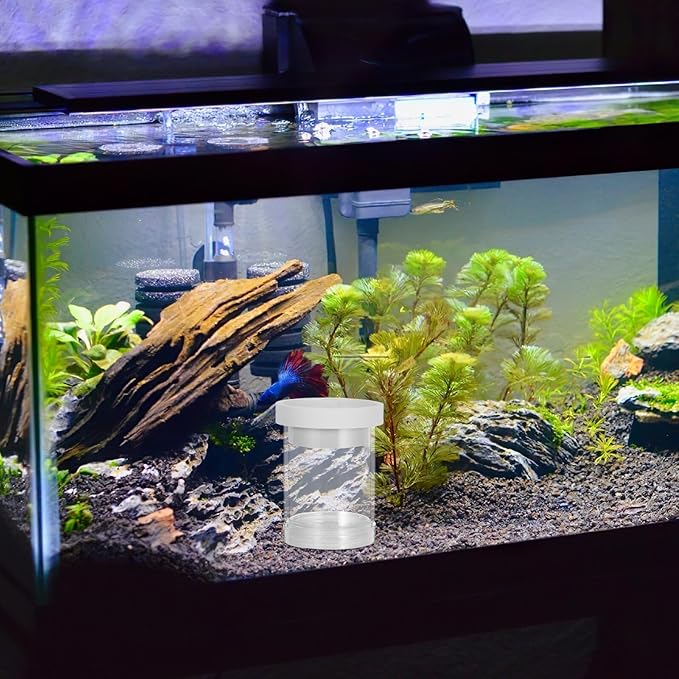 Healifty Fish Tank Egg Incubator Floating Breeding Box with Isolation Net White Small Aquarium Fish Nursery Separation for Guppy and Hatching