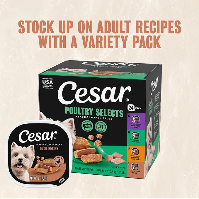 Cesar Classic Loaf in Sauce Adult Wet Dog Food Duck Recipe, (24) 3.5 oz. Easy Peel Trays, 24 Count (Pack of 1)