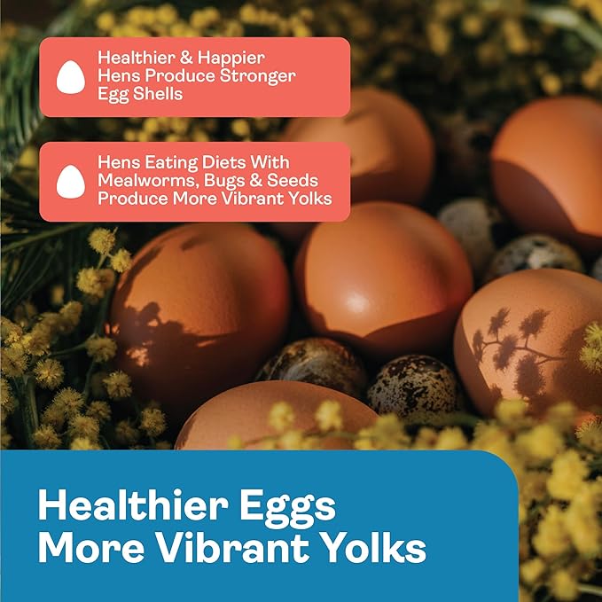 Egg Booster for Chickens – Omega-3 Vitamin Supplement for Laying Hens – Egg & Feather Health Support – Natural Poultry Treat and Layer Feed Additive – 2.5 lb Bag