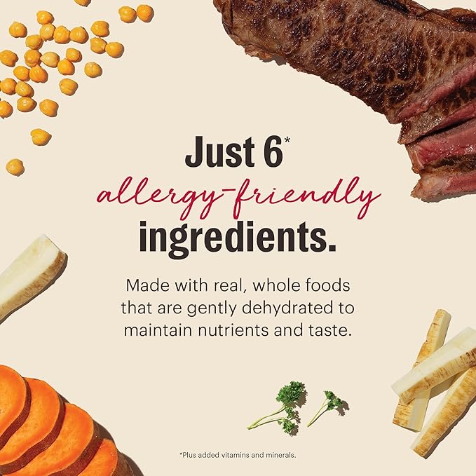 The Honest Kitchen Human Grade Wholemade™ Dehydrated Dog Food, Limited Ingredient Dehydrated Dog Food, Beef, 10 lb (makes 40lbs)