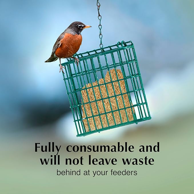 C&S Berry Delight No Melt Suet Dough, Suet Cakes for Wild Birds, 11.75 Ounces, Pack of 8