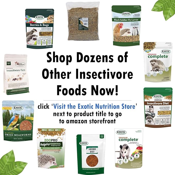 Exotic Nutrition 10 LB Bulk Dried Black Soldier Fly Larvae - High-Calcium Insect Treat - Chickens, Wild Birds, Bluebirds