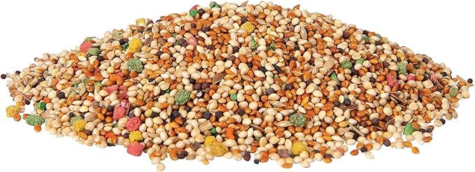 Wild Harvest Bird Seed Collection: Daily Blends and Advanced Nutrition for Parakeet, Canaries, Finches, Cockatiel, Parrots and More. (Pack of 2)