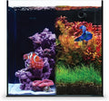 Ultum Nature Systems Dual AIO - Freshwater/Saltwater Compatible All in One Rimless Tank with Triple Chamber Filtration System, Integrated Filter Aquarium w/Leveling Mat - 11 Gallon, 35A, Black