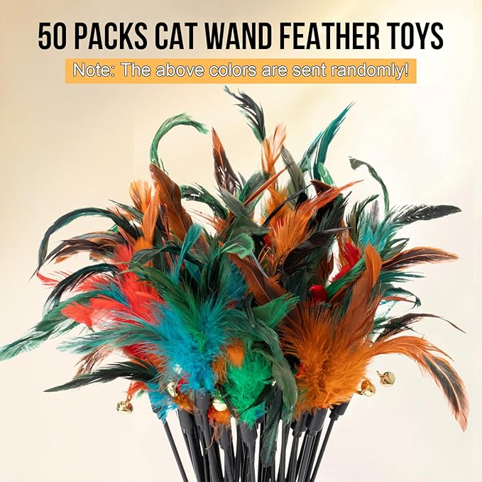 Leitee 50 Pcs Cat Wand Toy Feather Stick Cat Toy Feather Toys and Teaser Wand Bulk Interactive Stick for Indoor (Multi-Color)