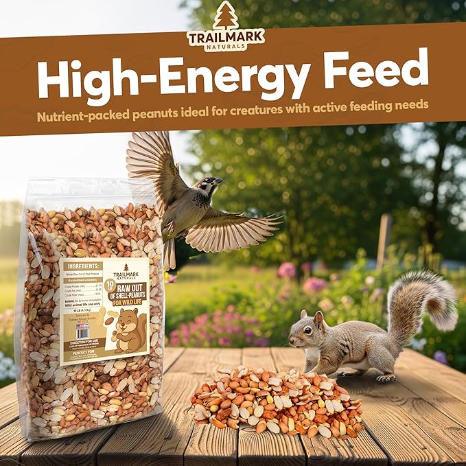 45 LB - Raw Shelled Peanuts For Squirrels, Out of Shell Peanuts For Birds and Wildlife- Squirrel Food, Wild Bird Seed - Grown in The USA