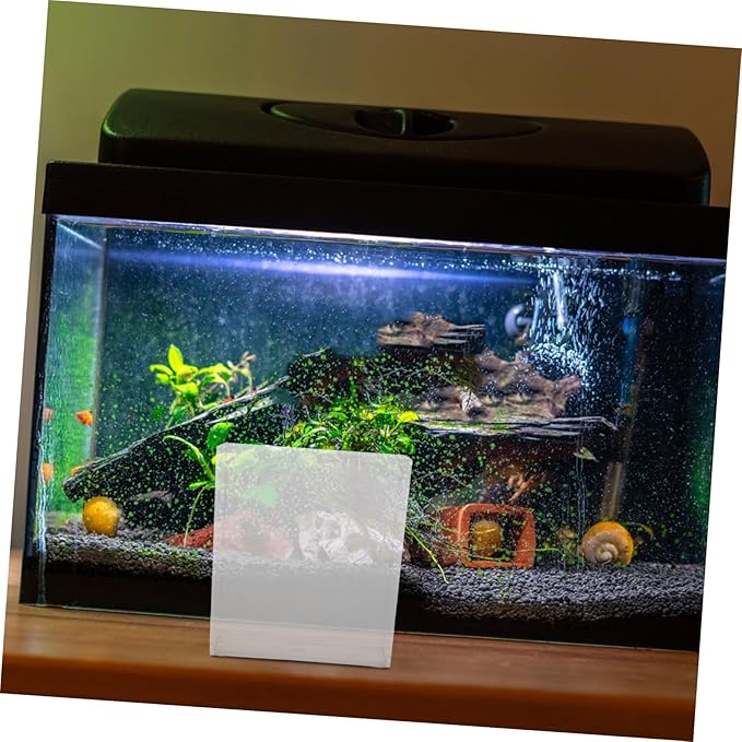 Toyvian Portable Fish Observation Container for Small Tanks Breeding Box Suction Cups for Betta Aquariums and Shrimp Home Fish Breeding Supply