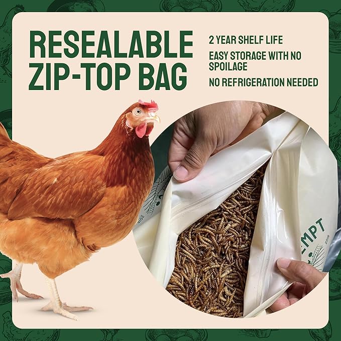 Hatortempt Bulk Dried Mealworms - 10 Lb Bag - Non-GMO Dried Mealworms for Chickens, Ducks & Wild Birds - High-Protein Chicken Feed & Bird Food