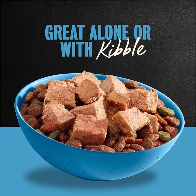 Cesar Classic Loaf in Sauce Adult Wet Dog Food Lamb Recipe, 3.5 oz. Easy Peel Trays, 24 Count (Pack of 1)