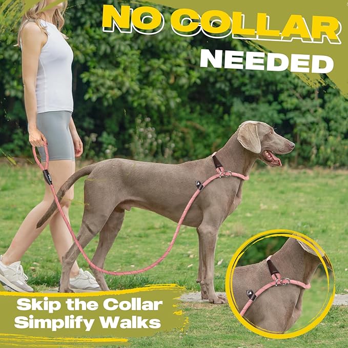Fida Durable Slip Leads for Dogs, 6 FT x 3/8" Heavy Duty Dog Loop Leashes, Comfortable Strong Rope Slip Leash for Small Dogs and Puppies, No Pull Pet Training Lead with Highly Reflective(3/8", Pink)