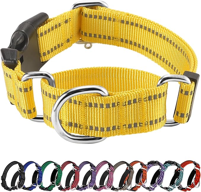 Hikiko Martingale Dog Collars Reflective Nylon Dog Collar with Quick Release Buckle Adjustable Training No Slip Dog Collar (Medium, Yellow)