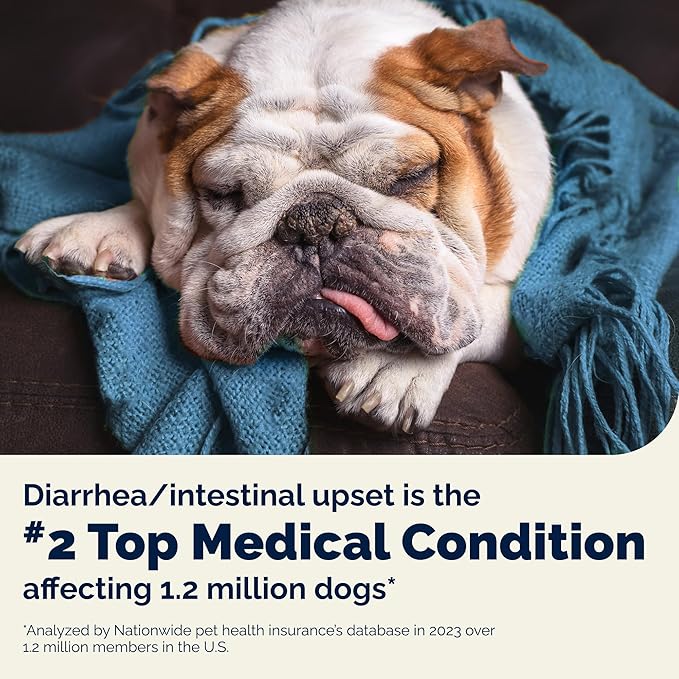 Vetnique Glandex Daily Probiotics for Dogs with Prebiotics to Support Gut Health with Fiber and Digestive Enzymes, Dog Probiotic Chews or Powders (120ct Chews, Bacon Chews)