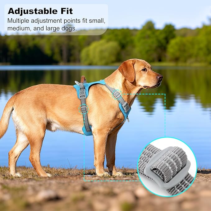 No Pull Dog Harness – Adjustable Reflective Nylon Vest for Small Medium Large Dogs, Escape Proof Training Harness with Leather Control Handle, Lightweight Aluminum Hardware (Cyan, S)