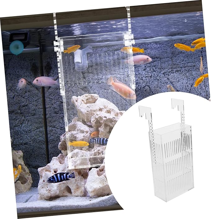 Mikikit Acrylic Fish Incubator for Betta Sturdy Aquarium Breeding Box Fish Tank Separator