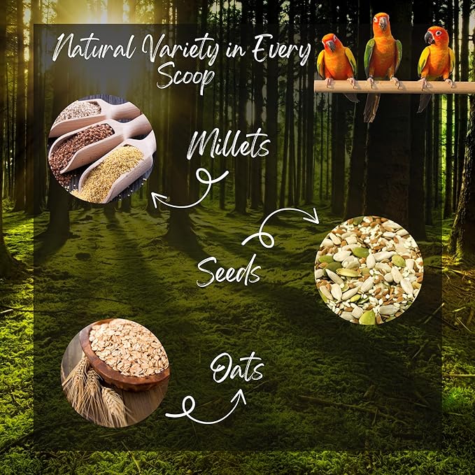 Danodia's Zoolulu Premium Conure Energy Millet Mix (450g/1 lbs) | Bird Food Blend for Conures, Quakers, Cockatiels & Lovebirds | Daily Healthy Nutrition