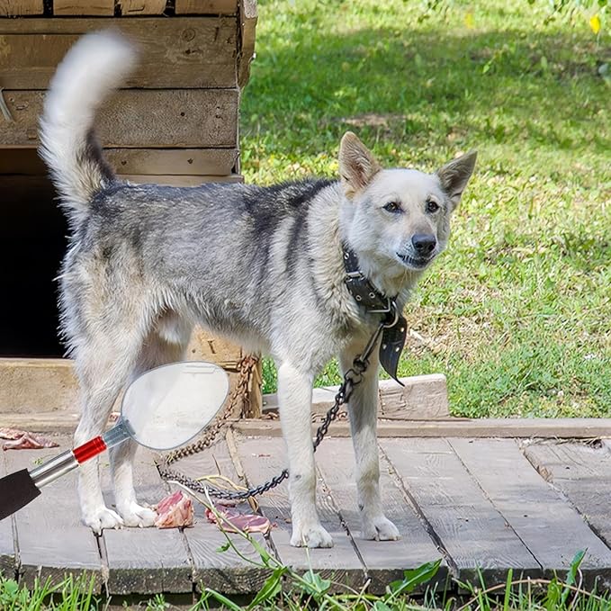 Telescopic Urine Collector – Dog Urine Sample Catcher | Dog Urines Catcher, Pee Stick Suitable For Pet Health Testing, Veterinary Sample Collection, Outdoor Dogs Walk