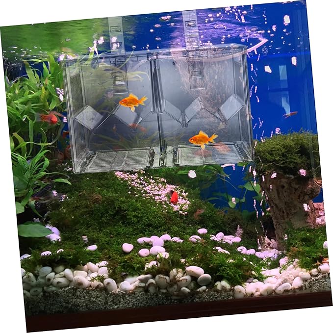 UPKOCH Aquarium Isolation Box for Fish Breeding Tank Hatchery Incubator Safe Separation Container for Juvenile Fish Easy to Clean Smooth Material Protects Fry
