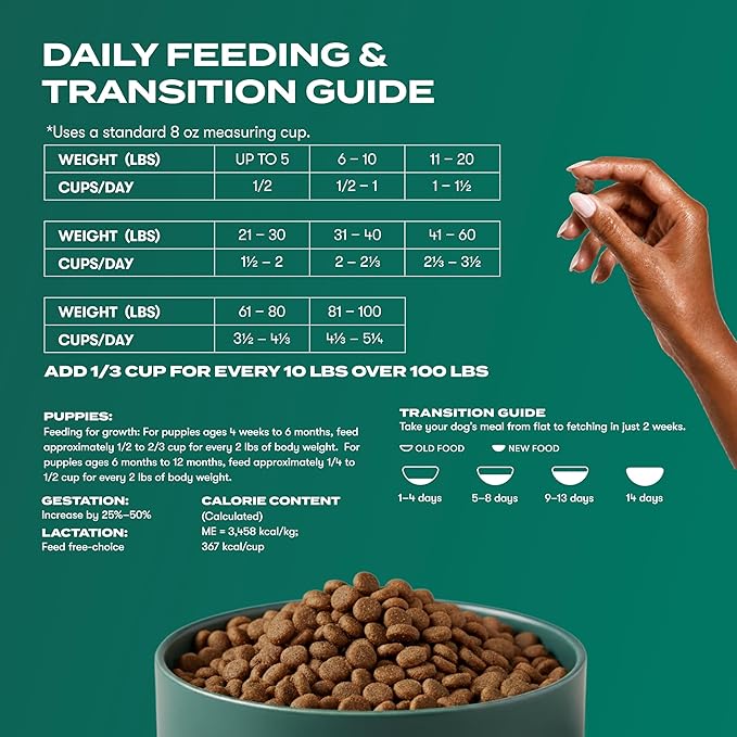 Jinx Premium Dry Dog Food, for All Life-Stages - Real Salmon, Brown Rice & Sweet Potato Kibble with Superfoods for Immune Support & Probiotics for Digestive Support - No Fillers – 4lb