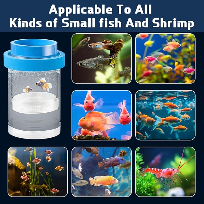 2 Pcs Breeder Box for Fish Tank Aquarium Breeder Separation Net Breeding Box with Suction Cup for Small Fish Shrimp Clownfish Guppy(Blue,M)