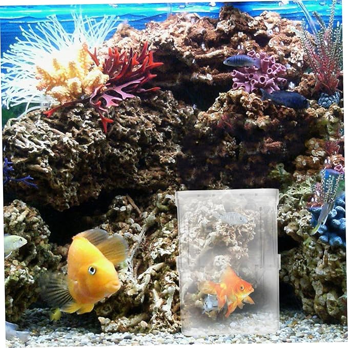Kisangel 4pcs Aquarium Separation Container Small Fish Tank Fish Breeding Box Fry Hatchery Incubator Isolation Box