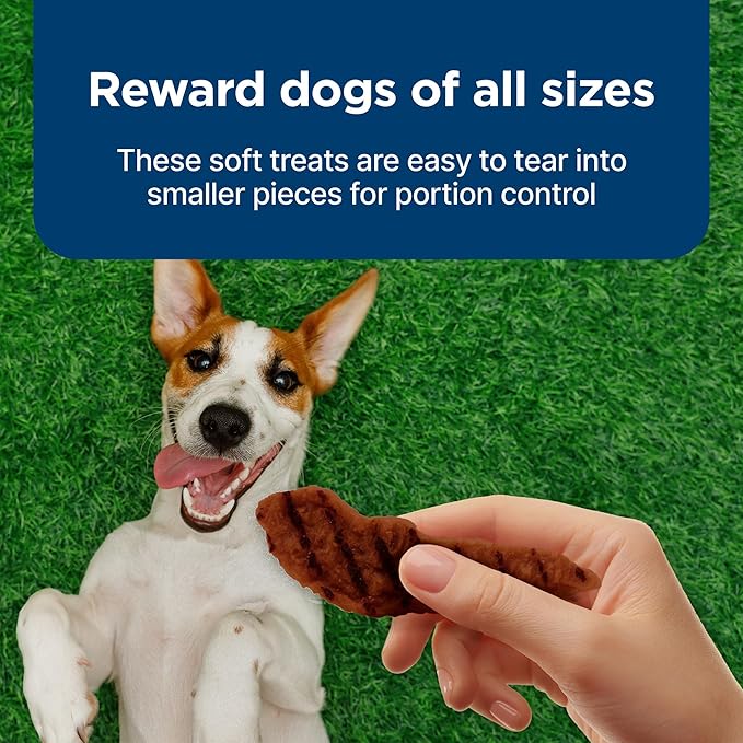 Blue Buffalo Nudges Grillers Natural Dog Treats, Beef, 16oz