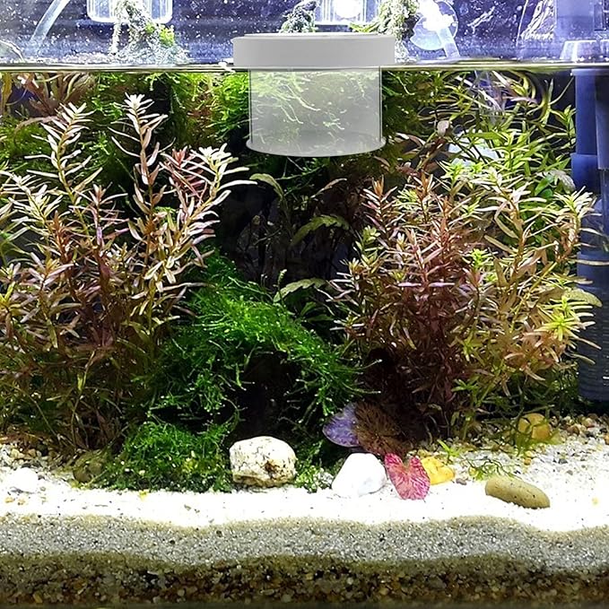 Mipcase Floating Aquarium Breeding Box Fish Tank Hatchery Openable Cover Easy Removal and Floating Design for Isolating Small Fish and Eggs
