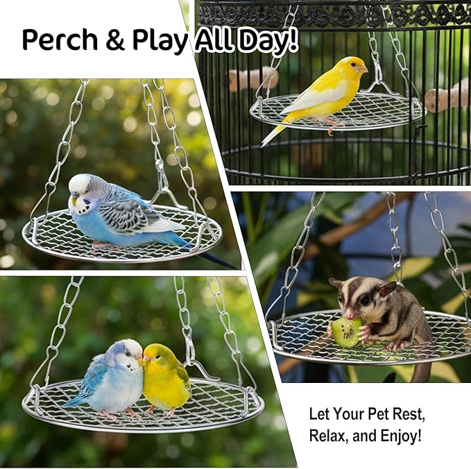 Bird Swing Stainless Steel Bird Swing for Cage Hanging Parakeet Swings Birds Cage Accessories to Balance Training Budgies Parrotlets Rat Sugar Gliders Small Animals