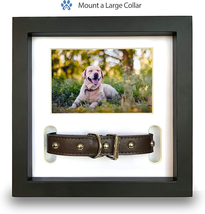 Dog Memorial Picture Frame with 5 Display Options- Dog Collar Memorial Frame Gift - Cat or Dog Pet Loss Gift for a Grieving Friend - Pet Remembrance Gift and Sympathy Photo Keepsake