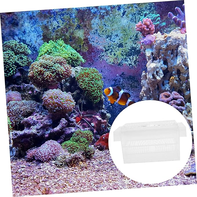 FRCOLOR 1pc Fish Fry Breeding Box Aquarium Isolation Case Fish Hatchery for Separation Efficient Incubator for Aquatic Breeding Tanks