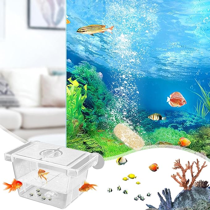 1/2 Fish Acclimation Box - Acrylic Hatchery Incubator Tank, Fish Breeder Box with 2 Suction Cups | Easily Install Breeding Isolation Box, Floating Breeding Box for Baby Fishes Shrimp Betta Guppy
