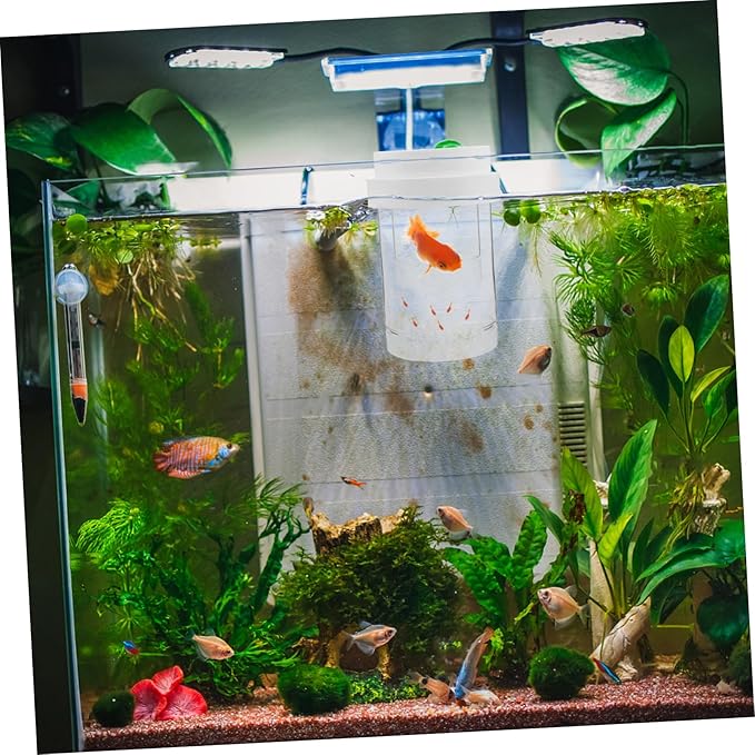 Kisangel 1 Set Fish Breeding Box: Guppy Breeder Box - Floating Isolation Hatchery Incubator for Guppy Betta Shrimp - Transparent Fish Tank Divider