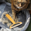 Pro Pet Hair Removal Tool – Dog & Cat Hair Scraper for Carpet, Couch, and Car – Reusable Carpet Hair Removal Tool & Fur Scraper for Upholstery, Rugs, Furniture, and Car Interiors