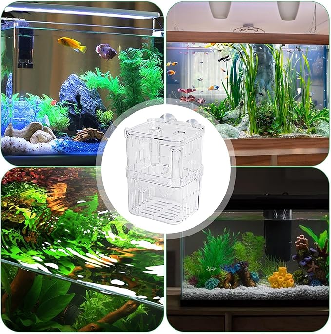 1/2 Fish Breeding Box - Aquarium Breeder Box, Fish Acclimation Box with 2 Suction Cups | Easily Install Fish Isolation Box, Acrylic Aquarium Hatchery Incubator for Baby Fishes Shrimp Betta Guppy