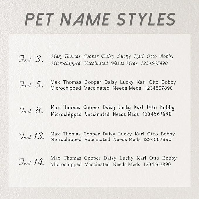 Anavia Small Size Dog Cat ID Tags, Small/XS Personalized Color Plated Stainless Steel Puppy Kitten Name Tags, Customized Engraved Nameplate Pet Collar Tag (Silver, XS-Round)